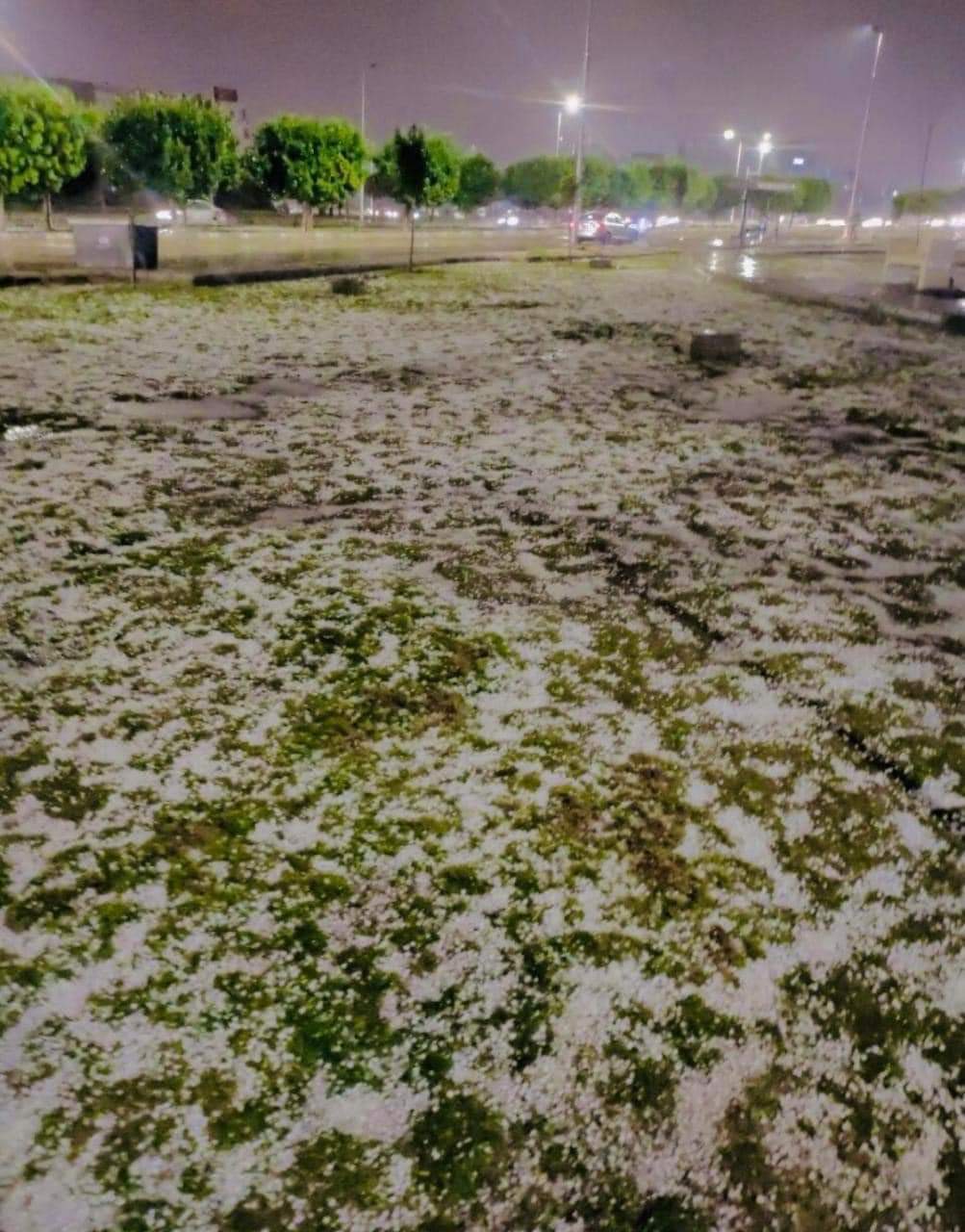 ثلوج في العاشر من رمضان 02