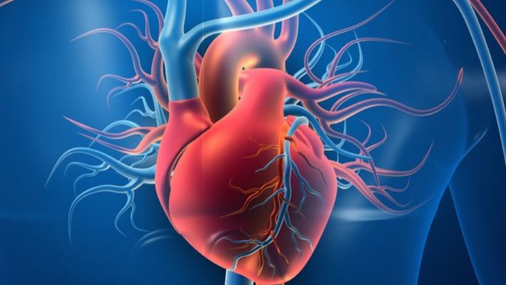 علاج تضخم عضلة القلب