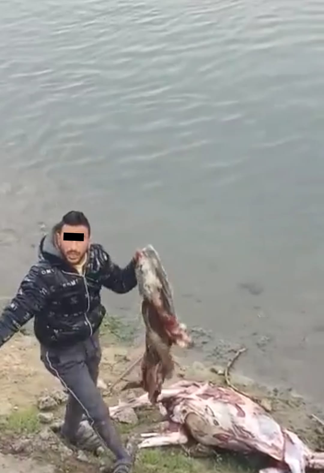 أحد المتهمين يحمل جلد الحمار النافق بعد سلخه