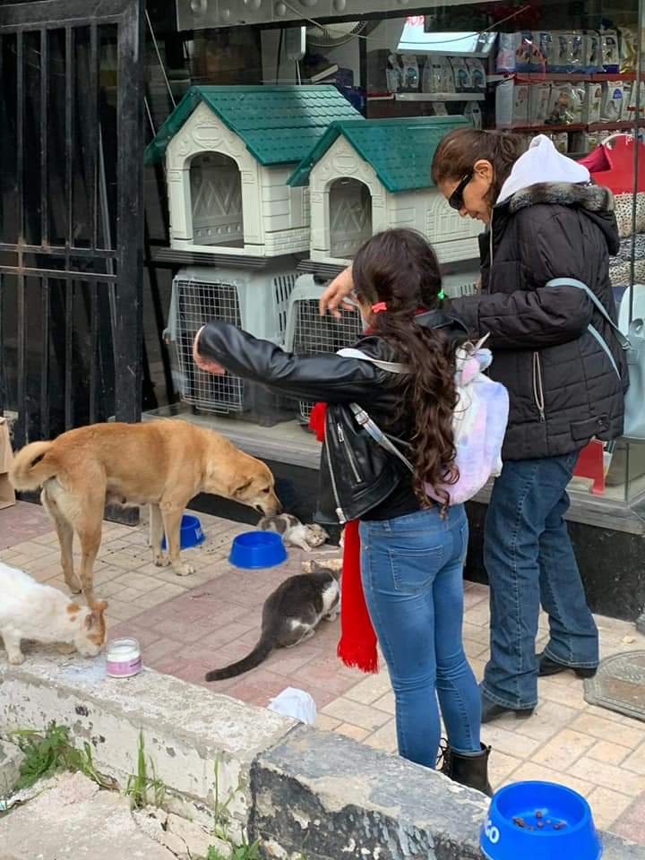 فريق إنقاذ السلاحف البحرية والحياة البرية بالإسكندرية 