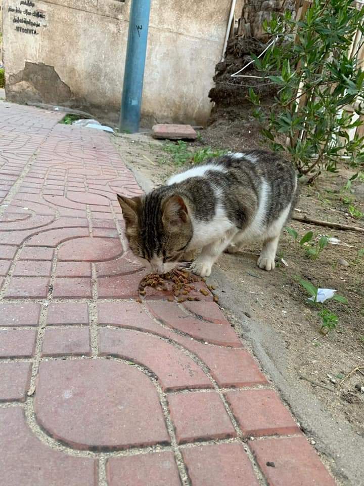 FB_IMG_1676399030177