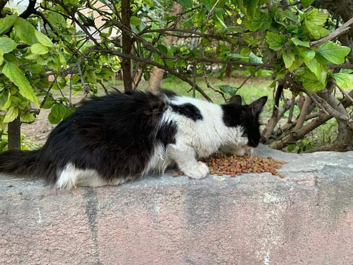 FB_IMG_1676398993869