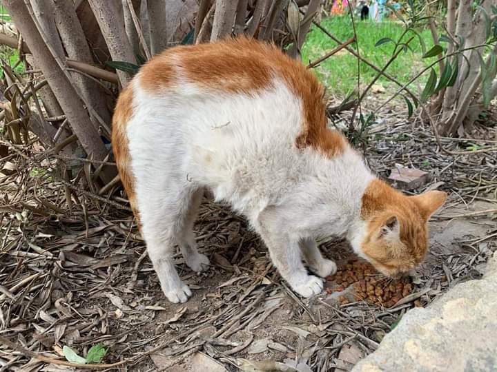 FB_IMG_1676398996139