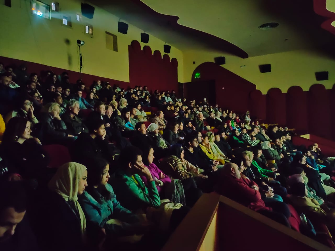 مهرجان الإسكندرية للفيلم القصيرة (4)