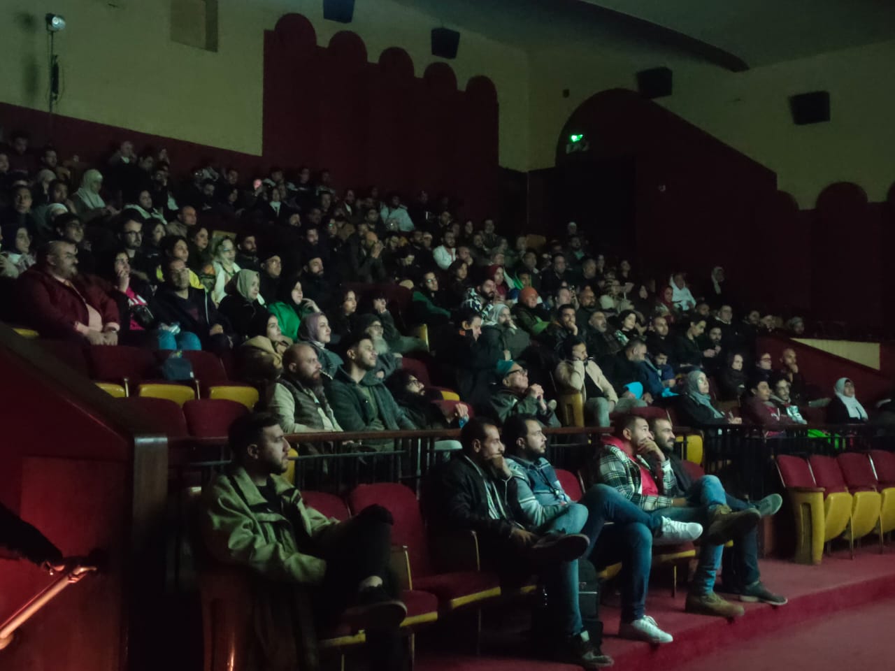 مهرجان الإسكندرية للفيلم القصيرة (14)