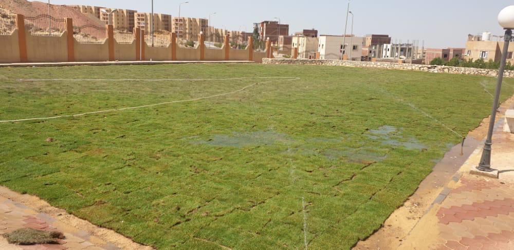 مراكز شباب الشيخ زايد و6 أكتوبر (11)