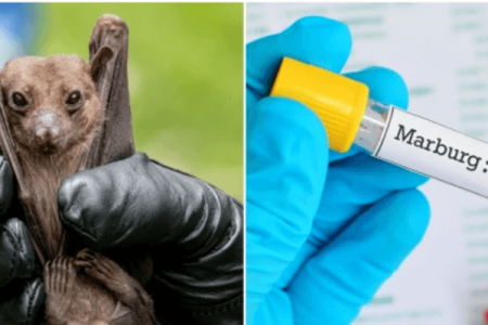 الوقاية من فيروس ماربورغ