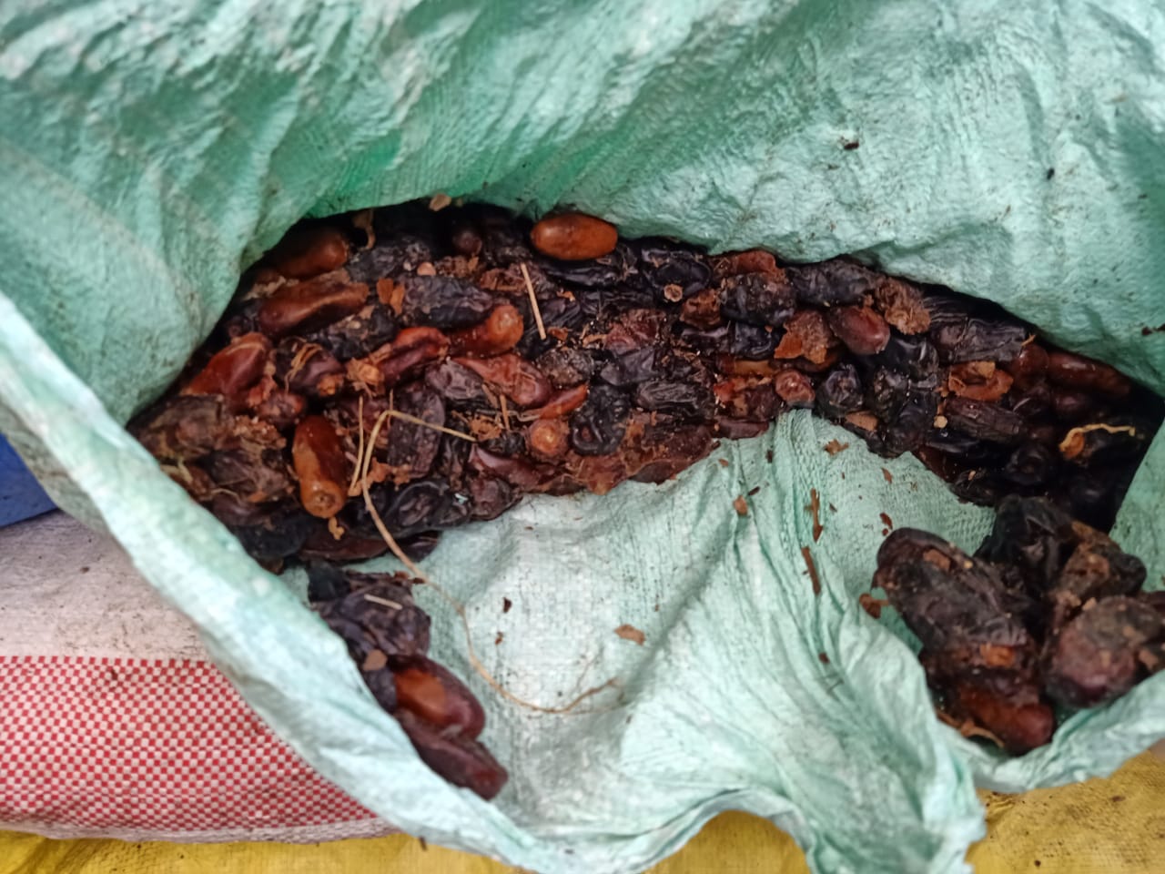 بعض المضبوطات 