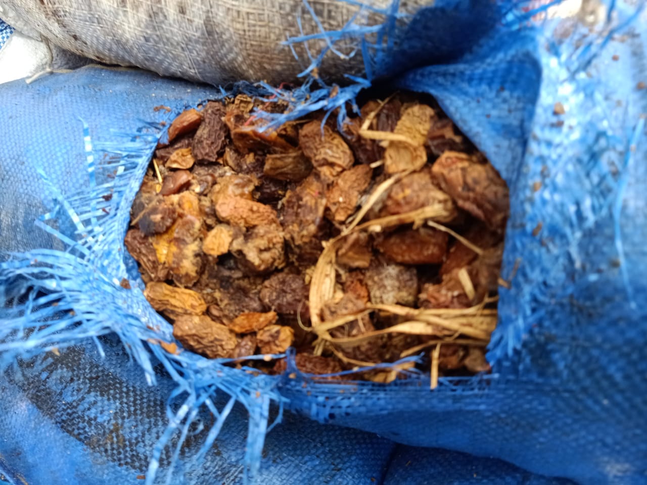 بعض المضبوطات 