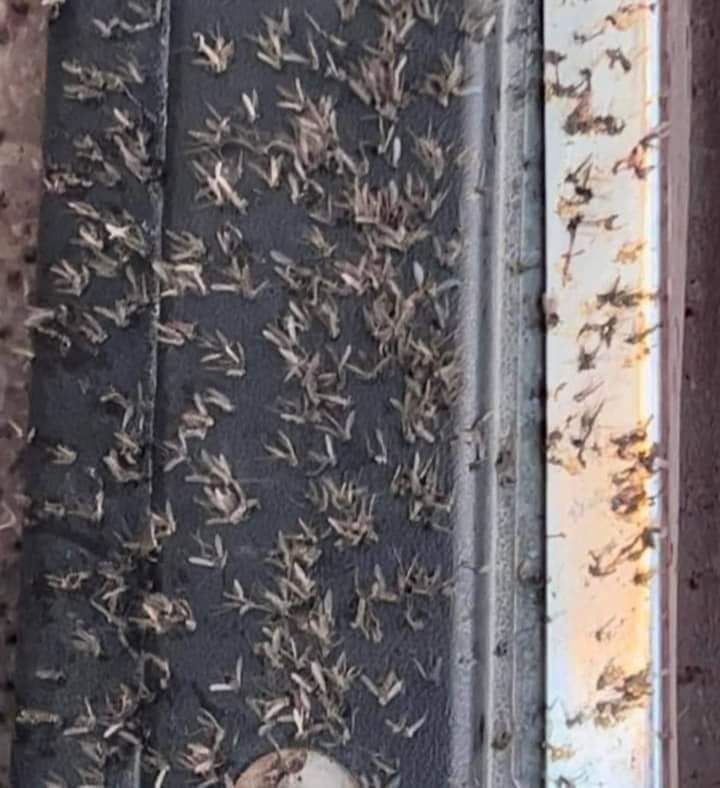 FB_IMG_1677316167553