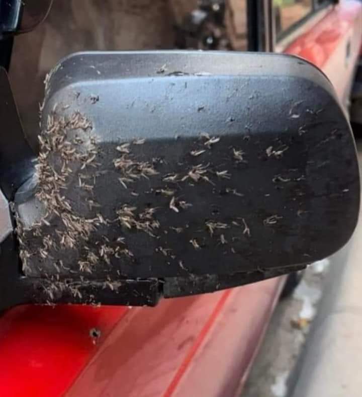 FB_IMG_1677316170053