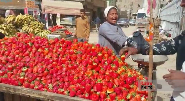 e2441249-07d6-4b3c-bade-4c45e1124111