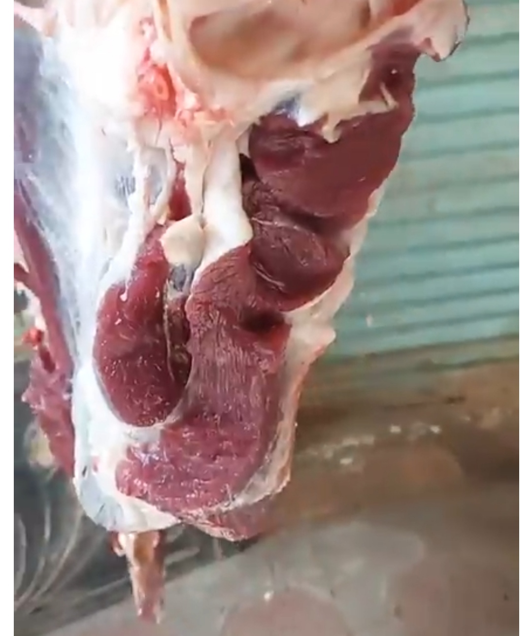 IMG_٢٠٢٣٠٣٠٢_١٥٢٠٠٧