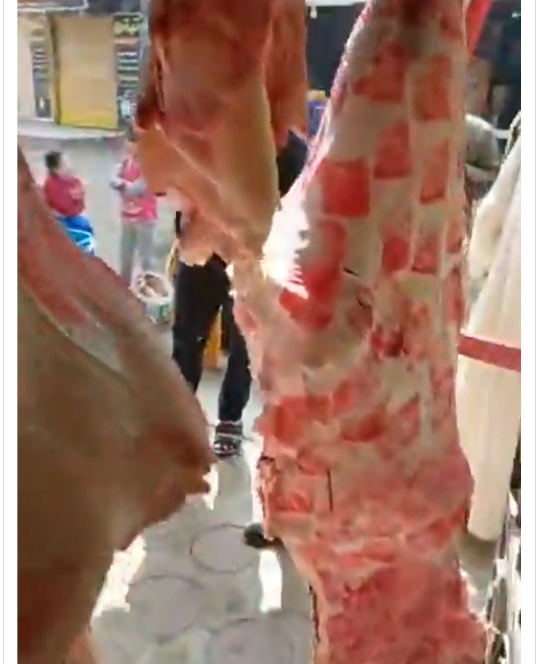 IMG_٢٠٢٣٠٣٠٢_١٥١٩٥٢