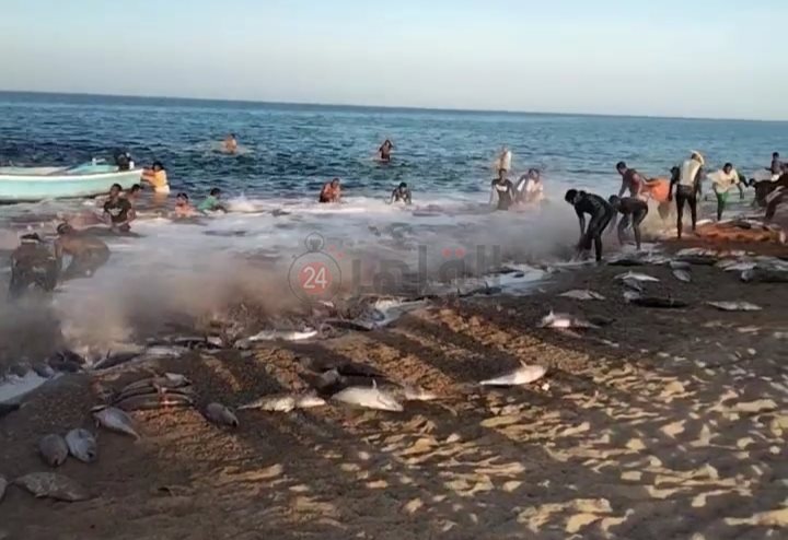 IMG_٢٠٢٣٠٣٠٧_١١٢٥٠٧