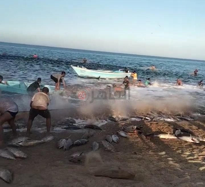 IMG_٢٠٢٣٠٣٠٧_١١٢٤٣٣