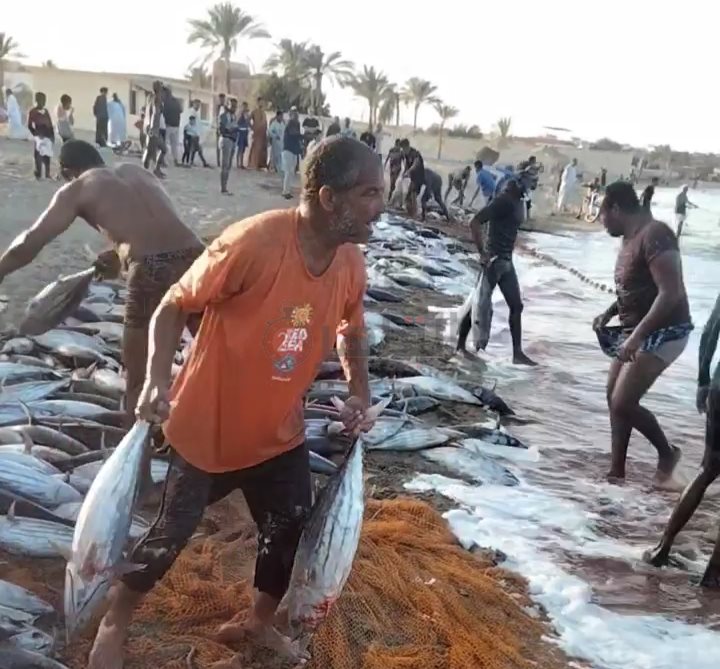 IMG_٢٠٢٣٠٣٠٧_١١٢٢٣٩