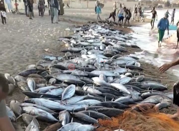 IMG_٢٠٢٣٠٣٠٧_١١٢٢٢٠