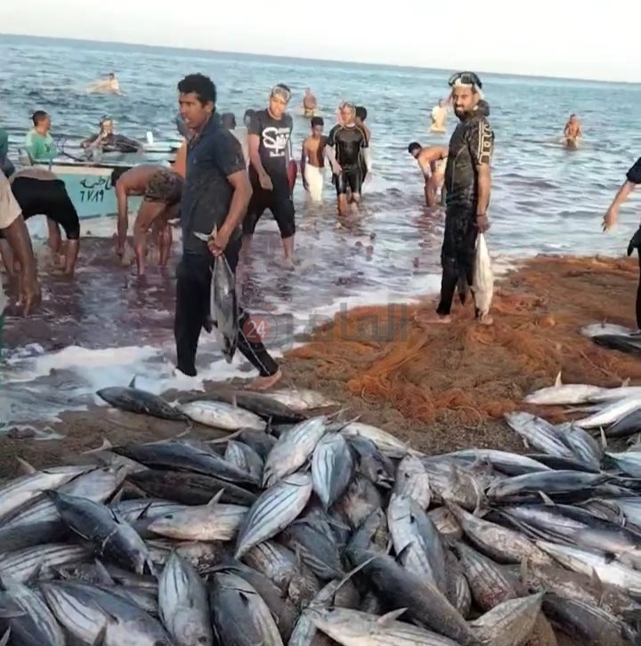 IMG_٢٠٢٣٠٣٠٧_١١٢١٤٠