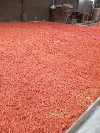 المضبوطات 02