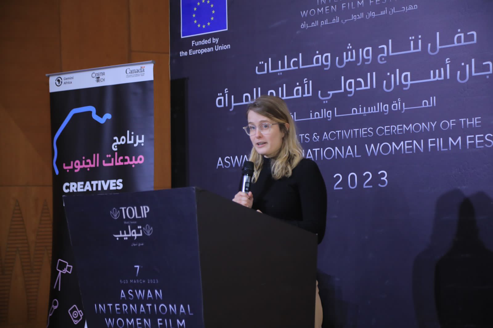 مهرجان أسوان لأفلام المرأة (4)