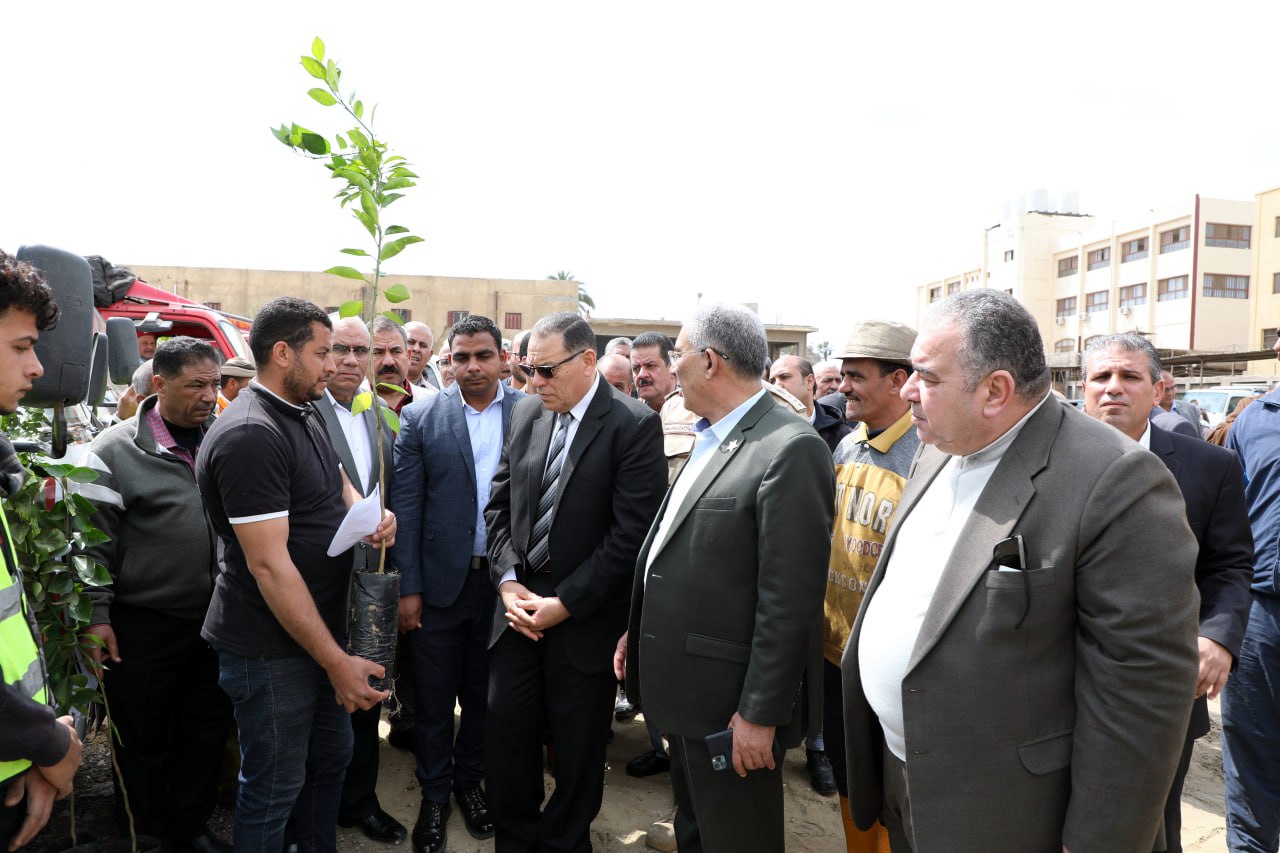 الشرقية تتسلم 270 ألف شجرة مثمرة ضمن المبادرة الرئاسية 07
