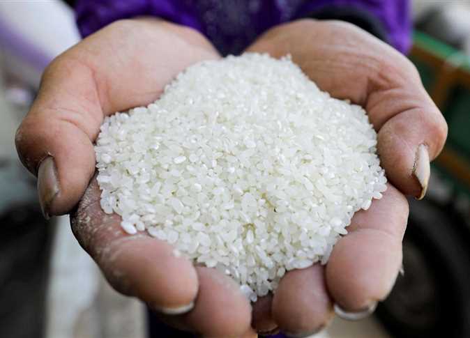 شعبة المواد الغذائية: ارتفاع سعر كيلو الأرز لـ 30 جنيها بالأسواق