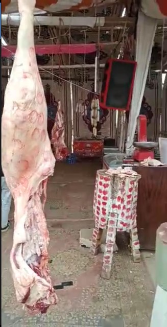 الشادر المخالف 04