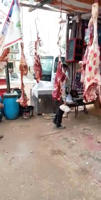 الشادر المخالف 05