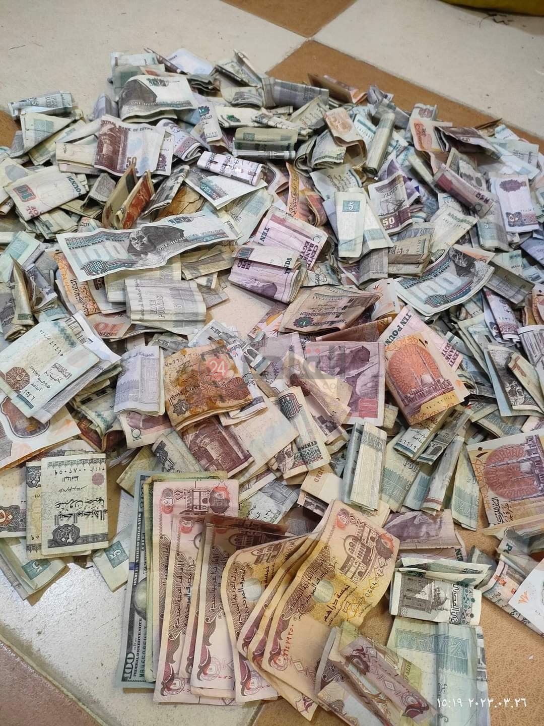 FB_IMG_1679908297187