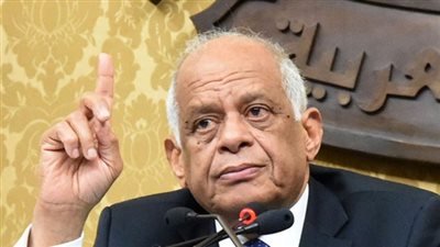 على عبد العال: الإشراف القضائى على الانتخابات غير دستورى