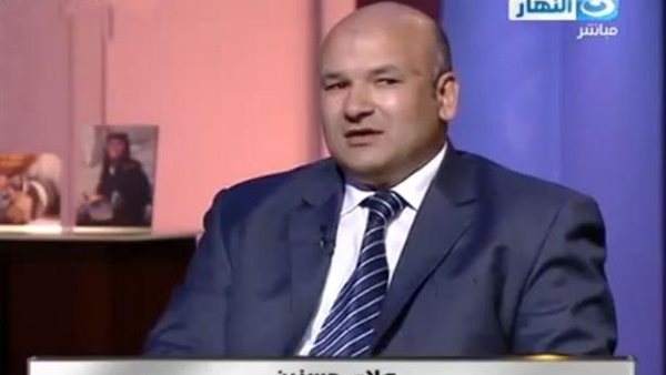 علاء حسانين نائب