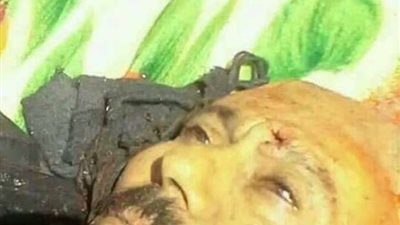 سكاي نيوز: 20 سيارة عسكرية لاحقت علي عبدالله صالح قبل قتله