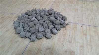 “المبروكة” سلاح جديد لإثارة الفوضى.. ضبط 5 أشخاص استغلوا تظاهرات القدس لتنفيذ أعمال عنف (صور)