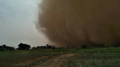 بسبب العاصفة الترابية.. سقوط 16 برج كهرباء في الوادي الجديد