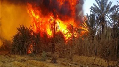 القصة الكاملة لأحداث حريق الوادي الجديد بقرية الراشدة