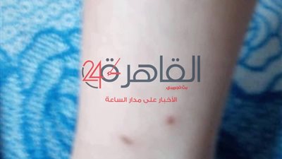 ثعابين داخل مدرسة بـ”إمبابة”.. والتعليم: سنعاقب المسئولين (صور)