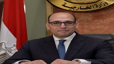 متحدث “الخارجية”: تنسيق مستمر مع السلطات النيجيرية لعودة المصرى المختطف