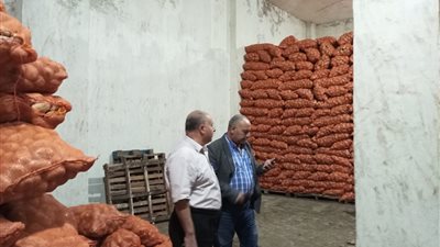 تخزين البطاطس جريمة.. القبض على تجار بتهمة تخزين 245 طن لاحتكارها بالأسواق