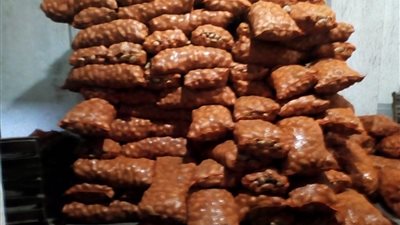 “من سيزرع المليون” يكشف خطة الرقابة الإدارية لضبط الأسواق.. وأسباب ارتفاع البطاطس