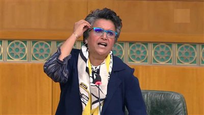 أول بلاغ رسمي ضد صفاء الهاشم يُطالب بوضع اسمها على قوائم الترقب في مصر ومحاكمتها