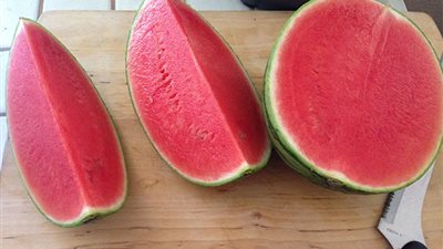 مصر تسعى لإنتاج بطيخ بلا بذر