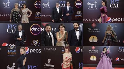 120 صورة ترصد ختام الدورة الـ 40 من مهرجان القاهرة السينمائي الدولي