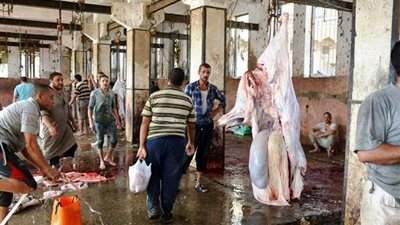 جزار يطعن طبيب بيطري لرفضه ذبح بقرة مصابه بالسل في دمنهور (صورة)