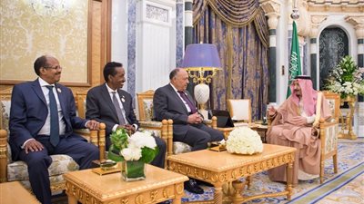 الإعلان عن إنشاء “كيان البحر الأحمر” من 7 دول عربية