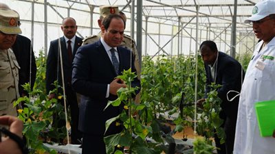 السيسي: “يعنى ناس تاكل أورجانيك وباقى المصريين مياكلوش” (فيديو)