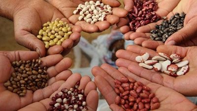 6 بذور مستحيل الجسم يستغنى عنهم