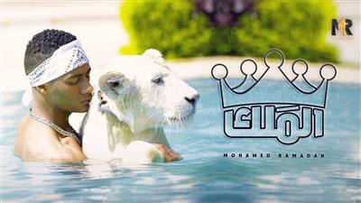 محمد رمضان يرد على بشرى ونجيب ساويرس: “الباشا إللي مسرح القطة” (فيديو)