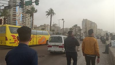 بعد ليلة غارقة فى الثلوج.. موجة جديدة من الرياح والصقيع على الإسكندرية (صور)