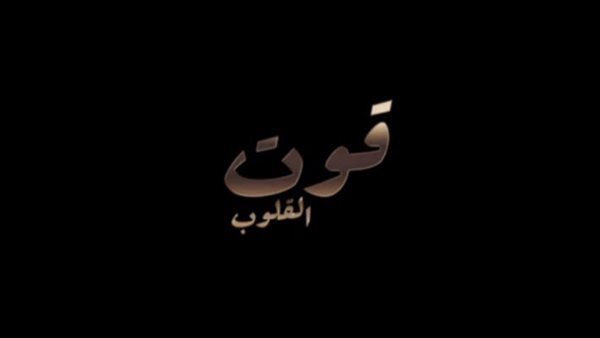 القاهرة 24